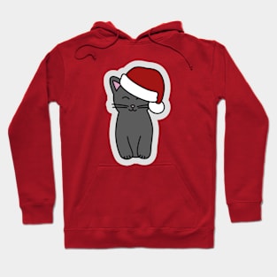 Christmas Kitten 🐾 Hoodie